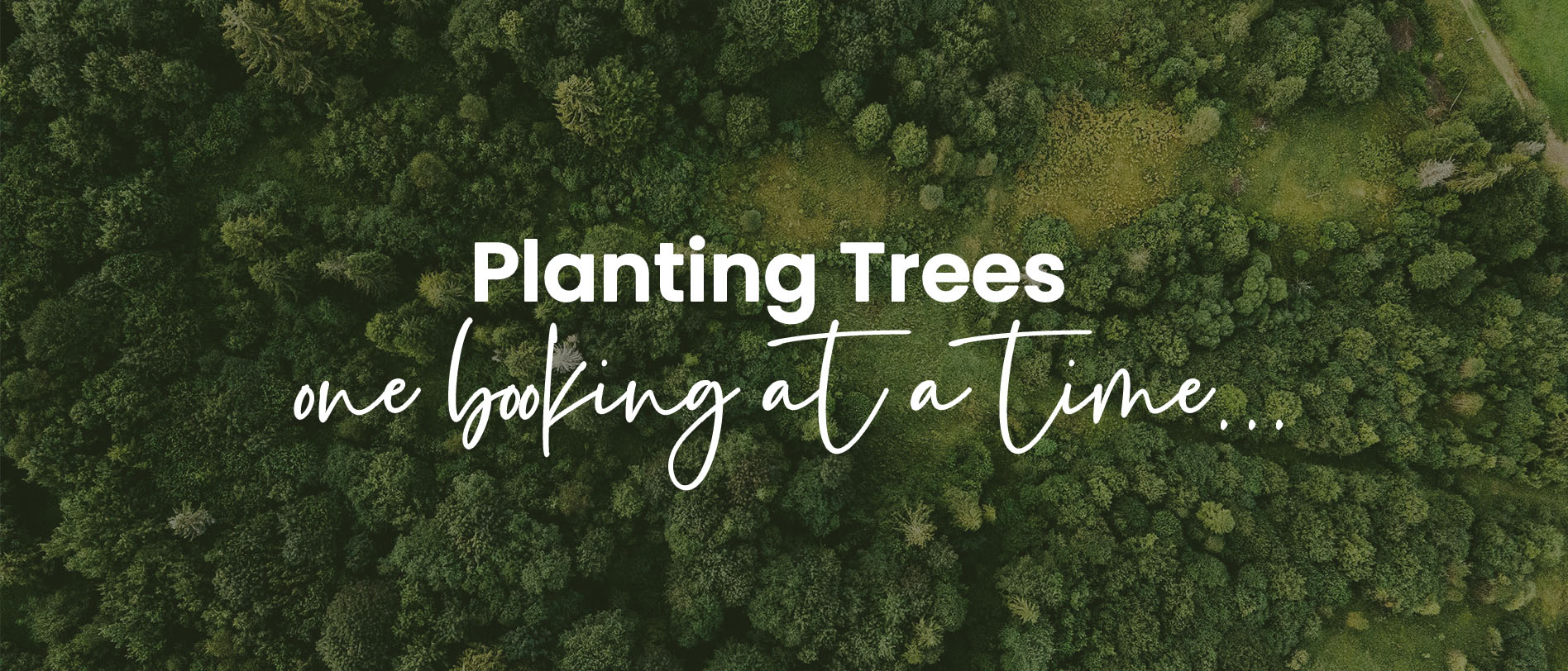 East Coast Locations, Book a Location, Plant a Tree