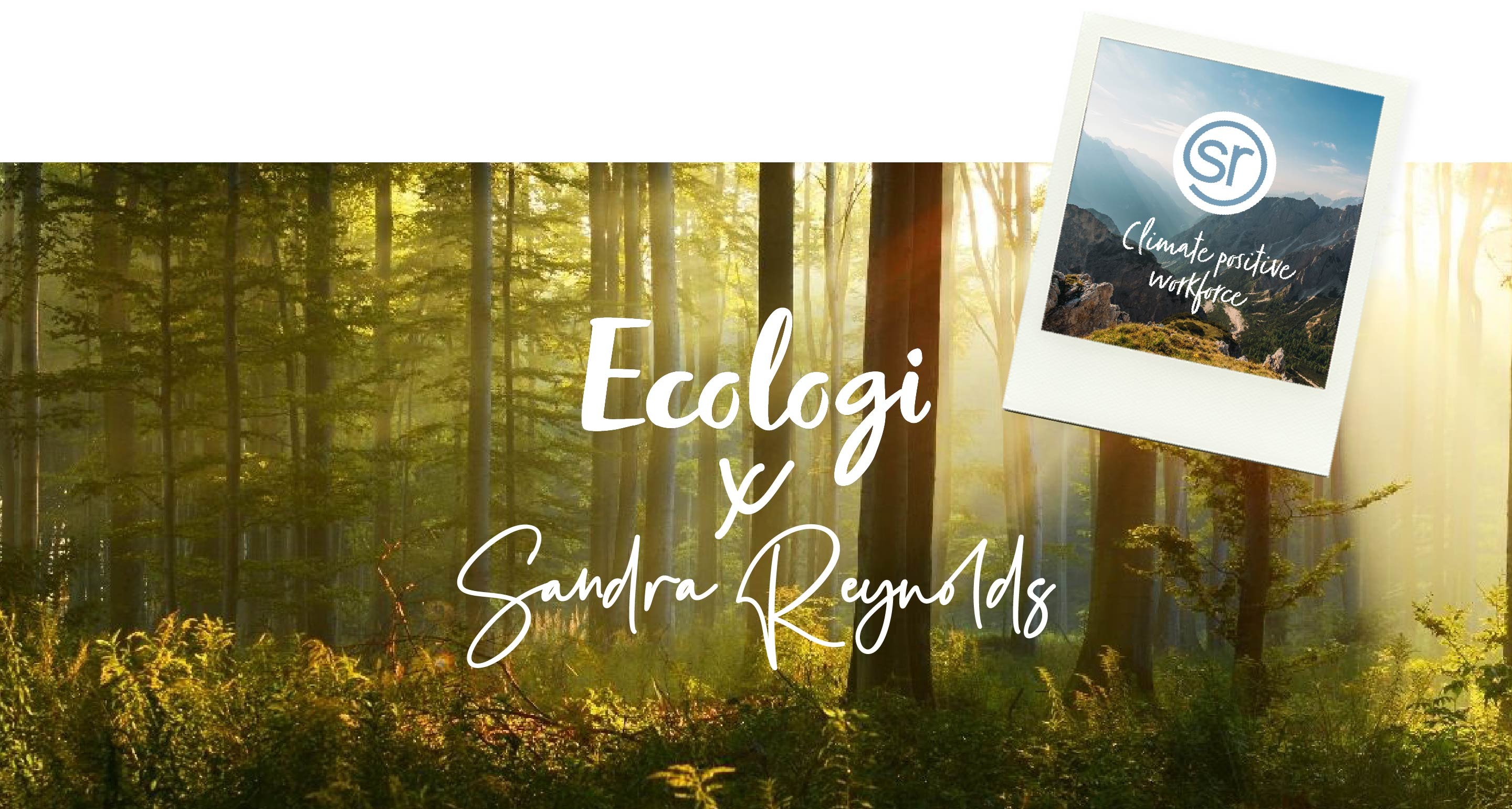 Sandra Reynolds Partnership With Ecologi