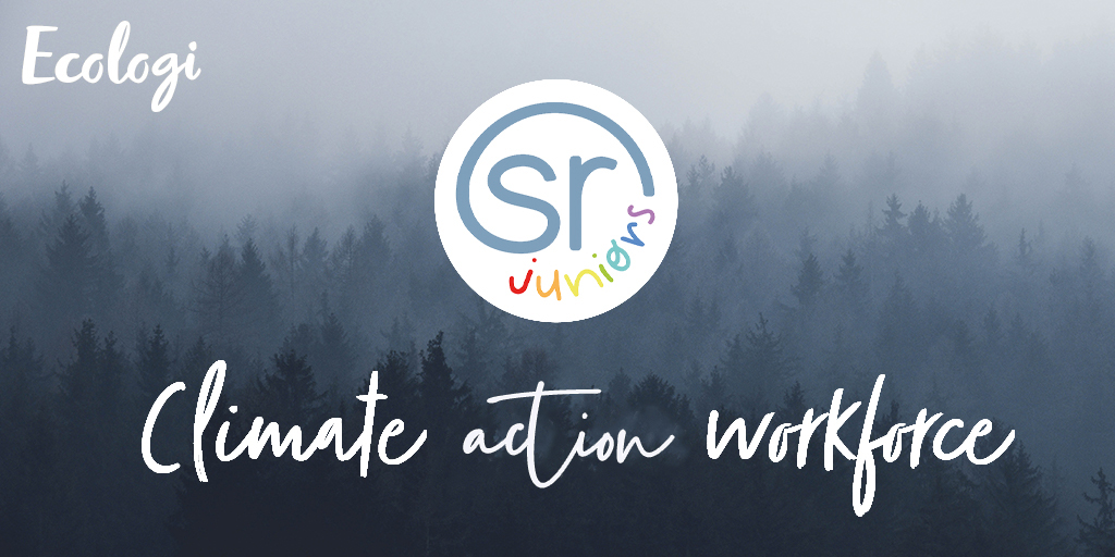 Sandra Reynolds Juniors - Climate Positive Workforce