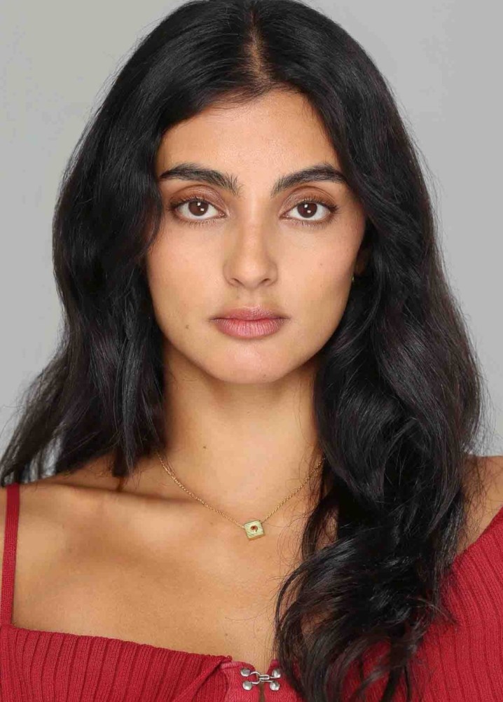 nikkita chadha - actor