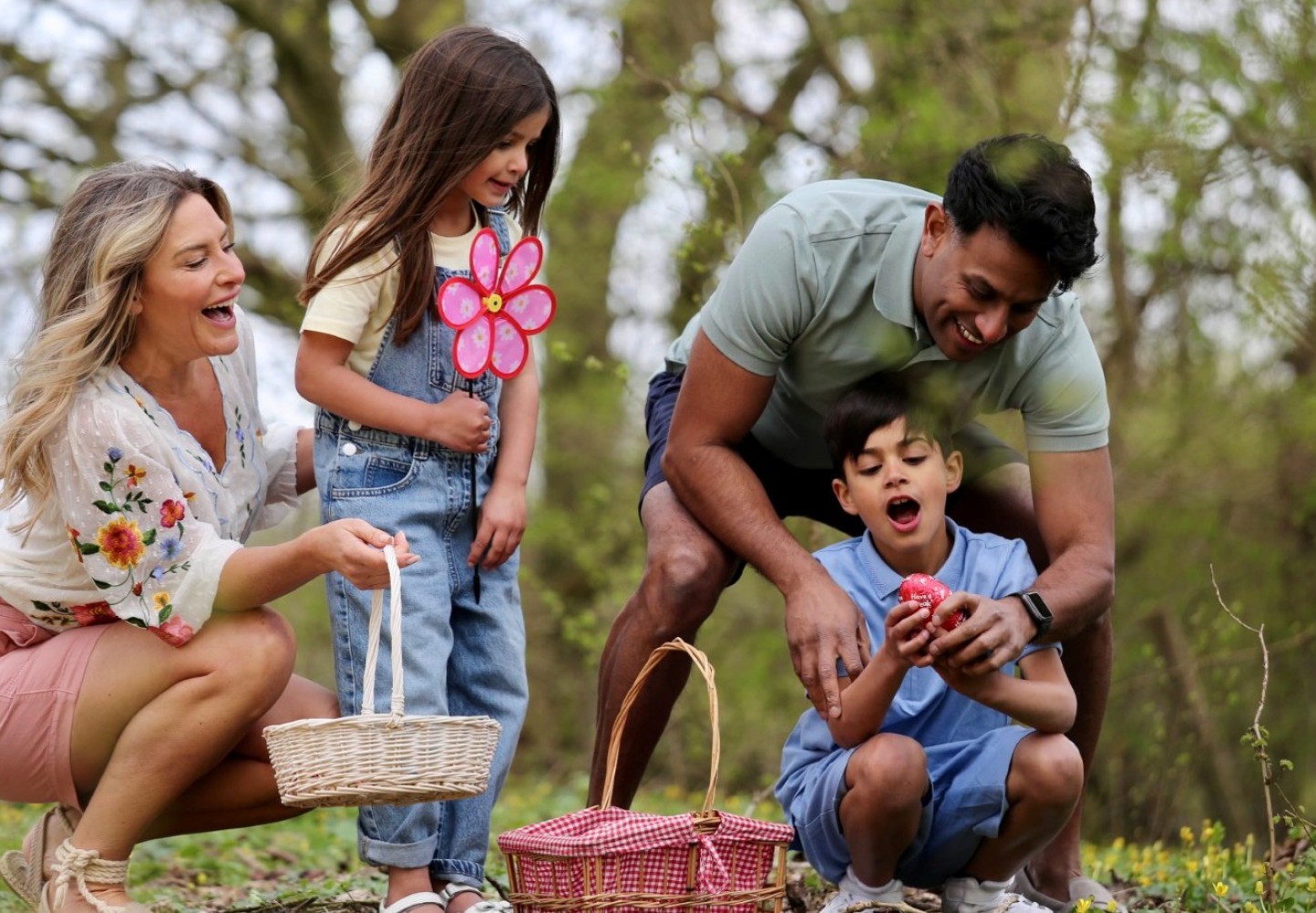 ash family - families