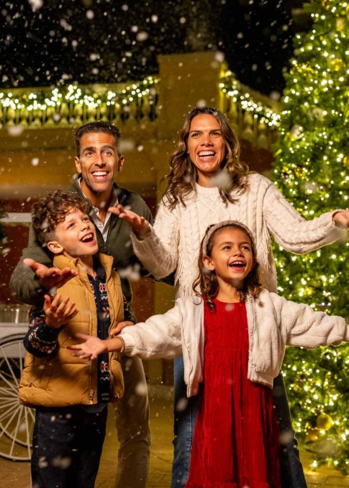 roselli family - families