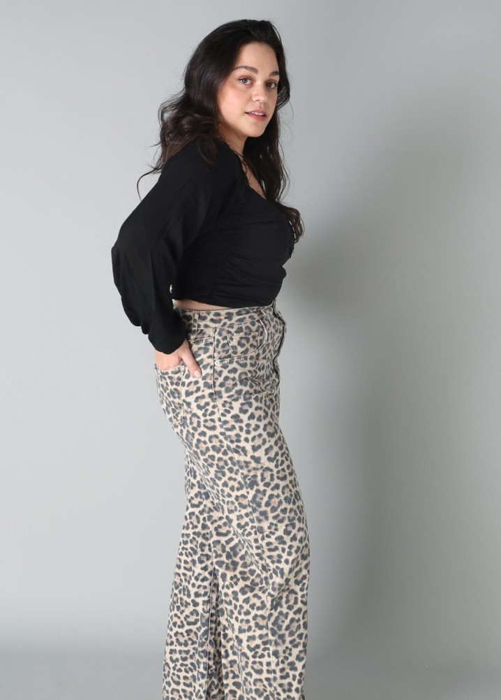 rosa morell - curve