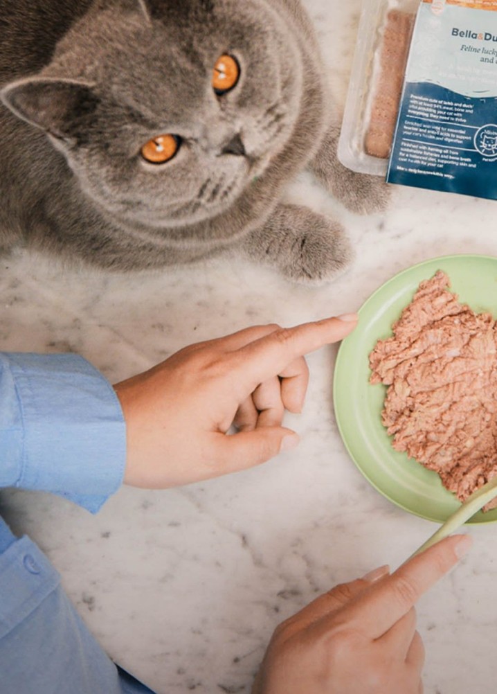 elaine andrews - hands